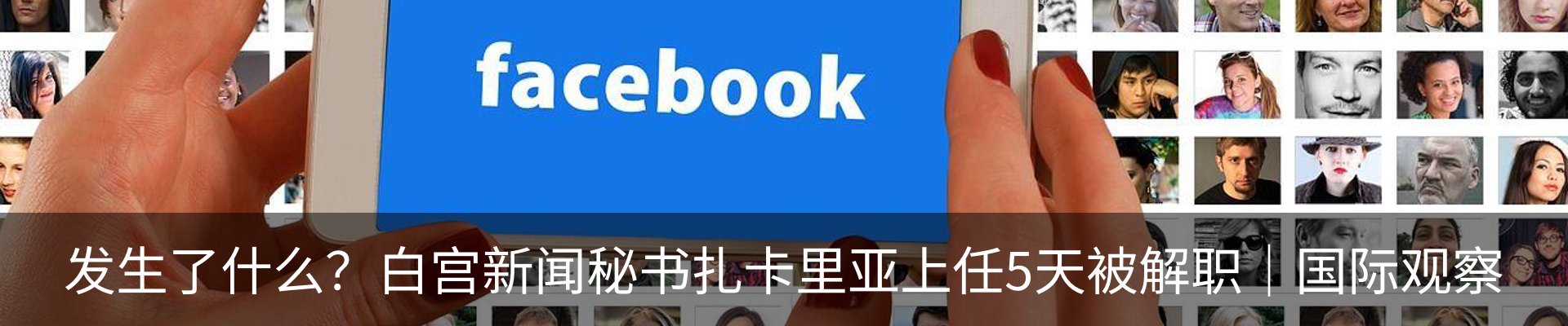 最新动态