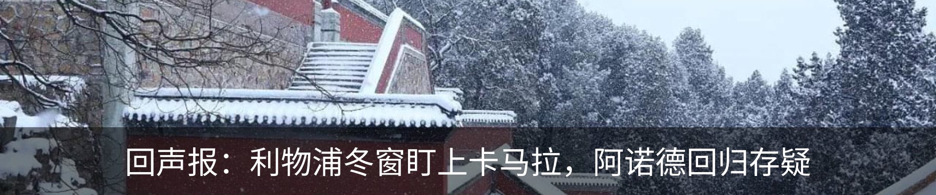 最新动态