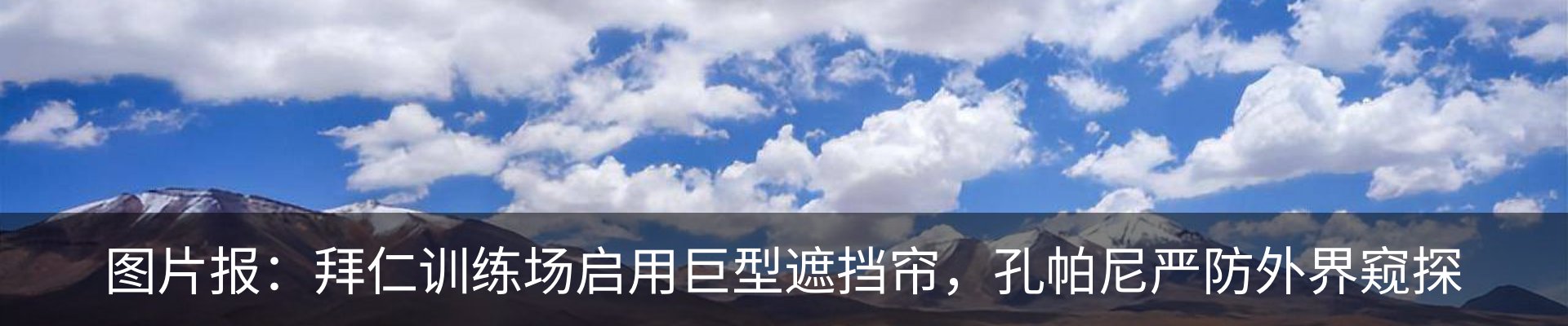 最新动态