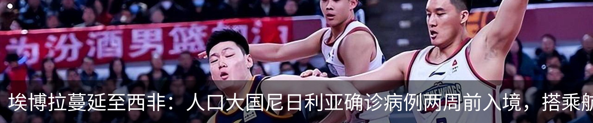 最新动态
