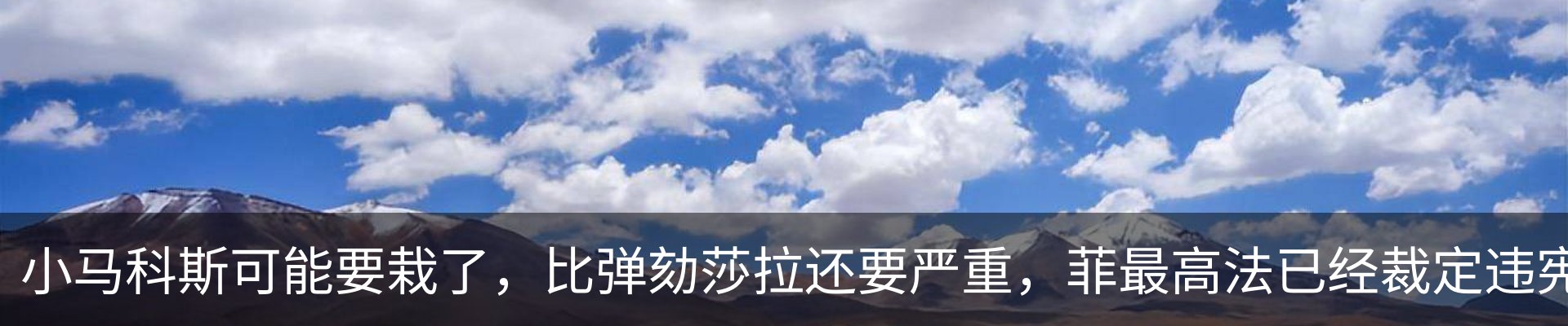 最新动态